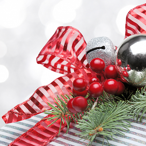 Поздравление с Новым годом от компании X-SKI Поздравление с Новым годом от компании X-SKI